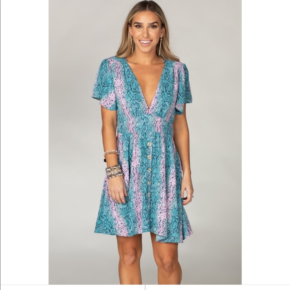 BuddyLove dress - Picture 2 of 4